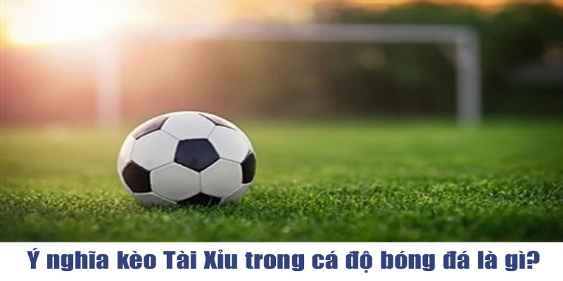 Kèo tài xỉu trong cá độ bóng đá là gì?