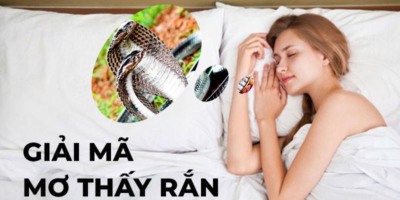 Giải mã mơi thấy rắn