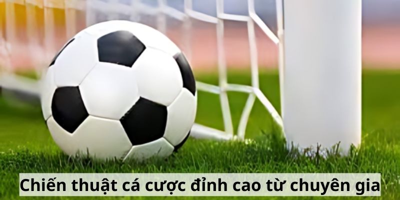 Chiến thuật cá cược đỉnh cao từ chuyên gia