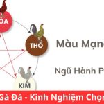 Màu Mạng Gà Đá - Kinh Nghiệm Chọn Gà Đá Hay Chuẩn 2024